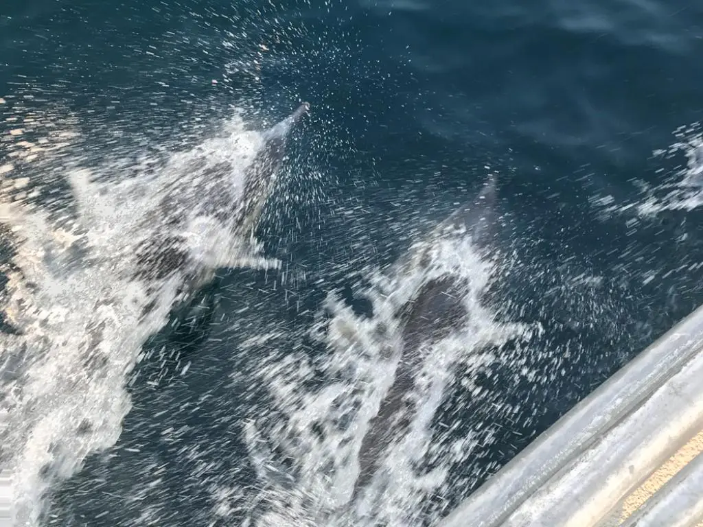 3rd Annual ASC Fishing Trip